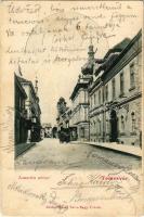 1905 Temesvár, Timisoara; Lonovits utca, Hungária szálloda. Káldor Zs. és Társa kiadása / street, hotel (fl)