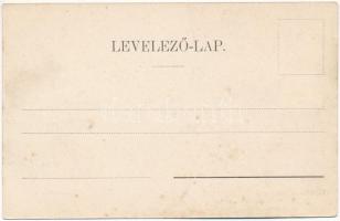 Temesvár, Timisoara; Gyárvárosi műmalom. Káldor Zs. és Társa kiadása / mill (fl)