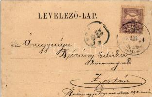 1900 Buziás, Fasor a meleg fürdőhöz, Bazár szálloda. Herrling Károly kiadása / promenade to the spa,...