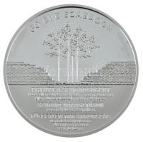 2020. 30.000Ft Ag "30 éve szabadon" kapszulában T:PP Adamo EM393