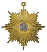 ~1948. Petőfi Sándor arcképével díszített, fém lemezjelvény tű nélkül T:XF