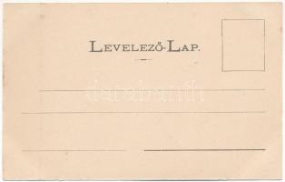 Máramarossziget, Sighetu Marmatiei; Glasner és Schulcz fűrésztelepe. Mayer és Berger kiadása / Sägew...