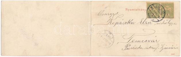 1904 Igló, Zipser Neudorf, Spisská Nová Ves; látkép. 2-részes kihajtható panorámalap. Ferencz D. kia...