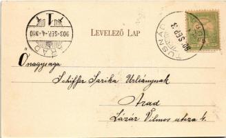 1903 Tusnád-fürdő, Baile Tusnad; Posta út. Brunner Lajos kiadása / street