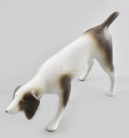 Royal dux szaglászó kutya figura. Kézzel festett, jelzett, hibátlan 23 cm