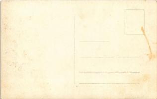 Zólyom, Zvolen; Pohlad od Nemocnice / látkép a kórházból / view from the hospital. photo (fl)