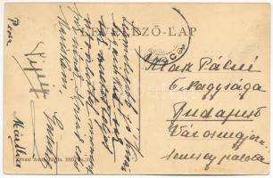 Bártfaújfalu, Bardejovská Nová Ves; kúria kertje, kastély. Divald Adolf 1910. / castle, villa garden