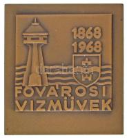 1968. "Fővárosi Vízművek 100. évfordulója, 1868-1968" bronz emlékplakett eredeti dísztokban (58x50mm) T:AU