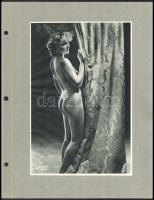 cca 1930-1940 Aktok, 3 db nyomat, "Wog Berlin" kettő papírra ragasztva, 30×23 cm