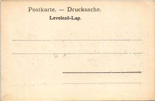 Borostyánkő, Bernstein (Vasmegye); utca, vár, Mager József üzlete / street view, castle, shop (fl)