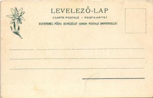 Tátra, Magas Tátra, Vysoké Tatry; Das Meerauge m. d. kl. u. gr. Miedziane 2238 m / Czarny Staw z Mie...