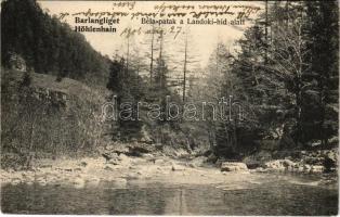 1906 Barlangliget, Höhlenhain, Tatranská Kotlina (Tátra, Magas-Tátra, Vysoké Tatry); Béla-patak a Landoki híd alatt. Britz Berta felvétele / bridge (EK)