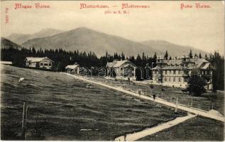 1909 Matlárháza, Matliary, Tatranské Matliare (Magas-Tátra, Vysoké Tatry); Franz Pietschmann No. 1650. (EK)