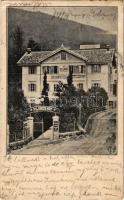 1907 Abbazia, Opatija; Dejak's Pilsner-Hof Schweizerhof / hotel (Rb)