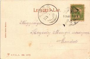 1904 Diósgyőr (Miskolc), várrom. Gedeon András kiadása (EK)