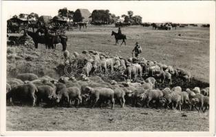 1938 Hortobágy, Magyar juhok, magyar folklór. Antalfy József kiadása (EK)