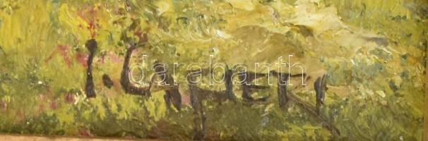 Olvashatatlan jelzéssel: Táj. Olaj, falemez. Dekoratív, kissé sérült fakeretben. 25,5×20 cm