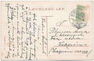 1911 Marosvásárhely, Targu Mures; Széchenyi tér a Bodor kúttal, Takarékpénztár, Császár József üzlet...