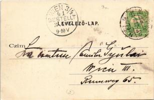 1902 Budapest XI. Gellérthegy, Citadella, pesti hajókikötő, Tabán széle, még nincs Erzsébet híd és S...