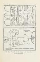 V. G. Reznyicsenko et al.: Harcászat. Bp., 1970. Zrínyi Katonai Kiadó. Második kiadás. Kiadói enyhén...
