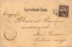 1900 Budapest V. Duna részlet a Gellértheggyel, Citadella. Ganz Antal kiadása (fl)