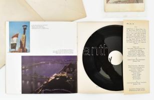 16 db Colorvox és hanglemez képeslap, vegyes motívumokkal (Budapest, festmények, Siófok, állatok , s...