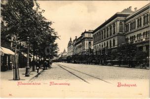 Budapest VIII. Múzeum körút, Kir. József műegyetem (Eötvös Loránd Tudományegyetem) (fl)