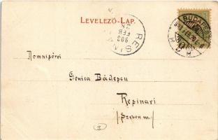 1903 Budapest V. Klotild paloták, Erzsébet híd épülőfélben (fl)