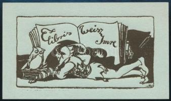 Olvashatatlan jelzéssel: Ex libris Weisz Imre, fametszet, papír, 6,5×11 cm