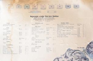 Tokaj-Hegyalja földtani s szőlőmívelési térképe Szabó Józseftől, 1865-ös térkép reprintje, nagyméret...