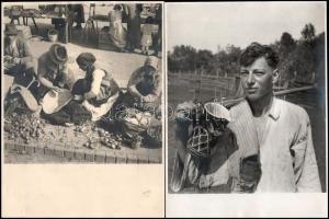 cca 1940 Marosvásárhely, piaci felvételek, életképek, Székelyudarhelyre tartó busz (mögötte "Ha...