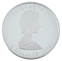 Kanada 2013. 5$ Ag "II. Erzsébet - A tölgyleveles ezüst 5$ 25. évfordulója" dísztokban, papírtokban T:PP Canada 2013. 5 Dollars Ag "Elizabeth II - 25th Anniversary of the $5 Silver Maple Leaf Coin" in decorative case and paper case C:PP