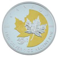 Kanada 2013. 5$ Ag "II. Erzsébet - A tölgyleveles ezüst 5$ 25. évfordulója" dísztokban, pa...