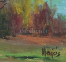 Hajós Hollanda Éva (1935-): Vízparti táj. Olaj, karton, jelzett. Dekoratív, üvegezett fakeretben, 39...