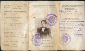 1917 Arcképes utazási igazolvány hadműveleti terület határának átlépésére