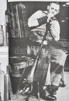 A.A.C. Hedges: Bottles and Bottle Collecting (Üvegek és gyűjtésük). Nagy Britannia, 2015, Shire, ang...