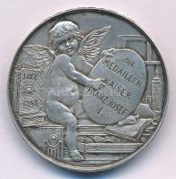Ausztria ~1894. "Alois Richter / Die Medaillen Kaiser Franz Josef I" Ag emlékérem, peremen...