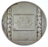 Maróti Géza (1875-1941) 1911. "A kereskedelemügyi M. kir. minister érme / Az 1911. évi Lugosi M...