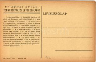 Gyermeklánc. Dr. Méhes Gyula "Természetrajzi Levelezőlapok" / Taraxacum Officinale s: Dr. ...