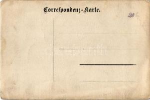 Tuxer Alpen, Tux Alps (?) ; hiker, mountain peak, photo (gyűrődések, creases)