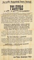 cca 1930 Duna-Tisza közi mezőgazdasági kamara felhívása szőlő és gyümölcstermesztőkhöz vegyszerek alkalmazása tárgyában 65x90 cm Hajtva