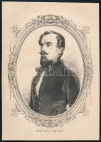 cca 1860 Gróf Ráday Gedeon (1829-1901) Délvidék királyi biztos, 1848-49-es katonatiszt, Rózsa Sándor bandájának szétverőjének arcképe, fametszet, papír, kissé foltos, 22x16 cm