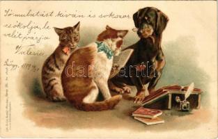 1899 (Vorläufer) Kutya tanár úr és a cica diákok / Dog teacher and cat students. Lith-Artist. Anstalt Serie 36. No. 18198. litho (EK)