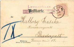 1899 (Vorläufer) Kutya tanár úr és a cica diákok / Dog teacher and cat students. Lith-Artist. Anstal...