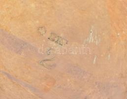 Berndorf ezüstözött alpakka tejkiöntő, elegáns formatervezésű, alján jelzett (BMF), korának megfelel...