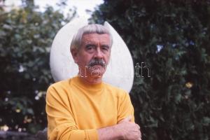 14 db profi dia ismert emberekről Kozma atya, Lukács Ervin, Boromissza Zsolt, stb