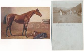 LOVAK - 4 db RÉGI képeslap, közte 3 fotó / HORSES - 4 pre-1945 postcards, including 3 photos