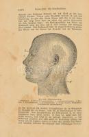 Platen, M[oritz]: Die neue Heilmethode Lehrbuch der naturgemäßen Lebensweise, der Gesundheitspflege ...