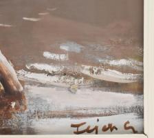 Fejér Csaba (1936-2002): Tiszapart. Olaj, farost, jelezve jobbra lent. 40x48 cm Üvegezett fakeretben...