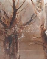 Fejér Csaba (1936-2002): Tiszapart. Olaj, farost, jelezve jobbra lent. 40x48 cm Üvegezett fakeretben...